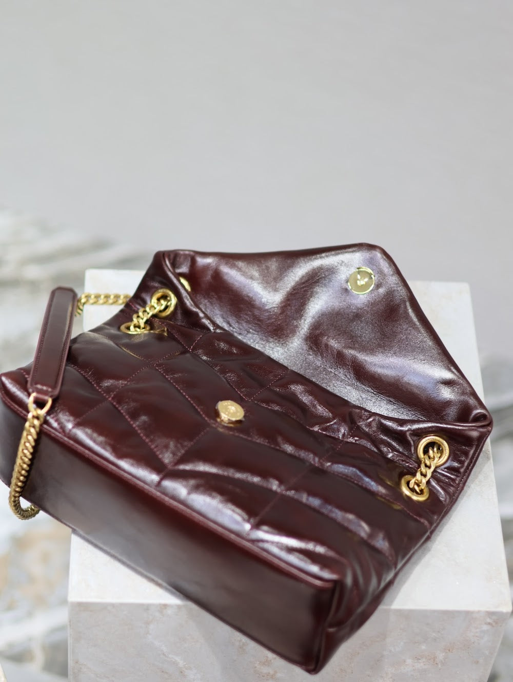 Dragons Bags YSLn Luxury Bag --119413
