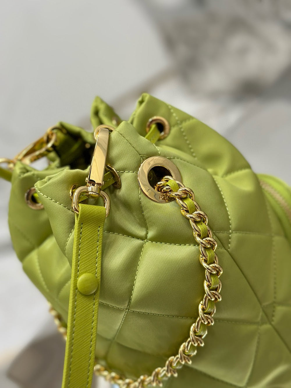 Dragons Bags Pradn Luxury Bag --102093
