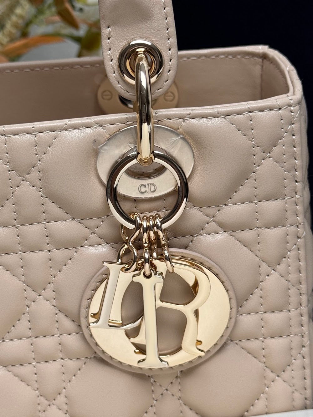Dragons BagsDiorn Luxury Bag --116013