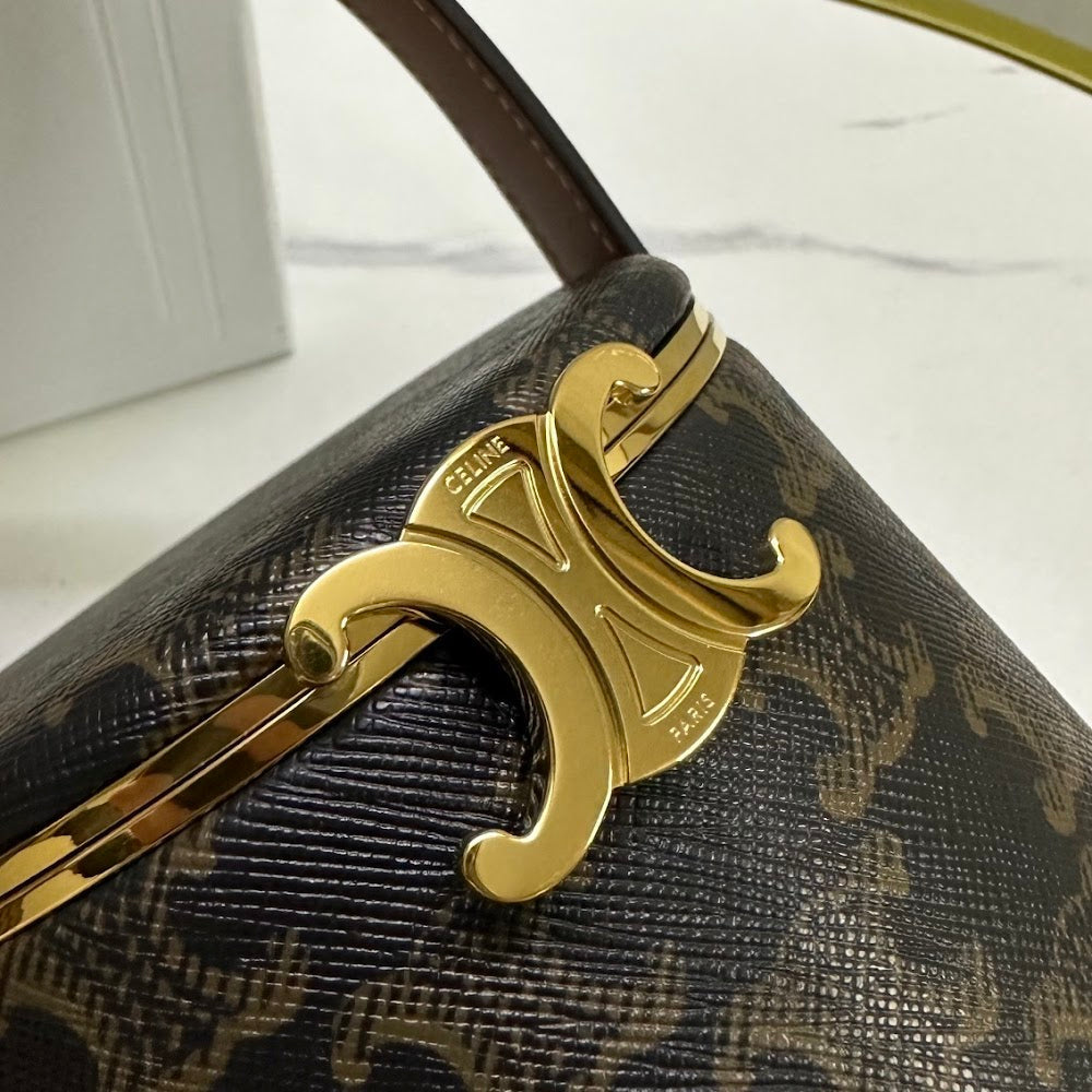 Dragons Bags Celine Luxury Bag --111995