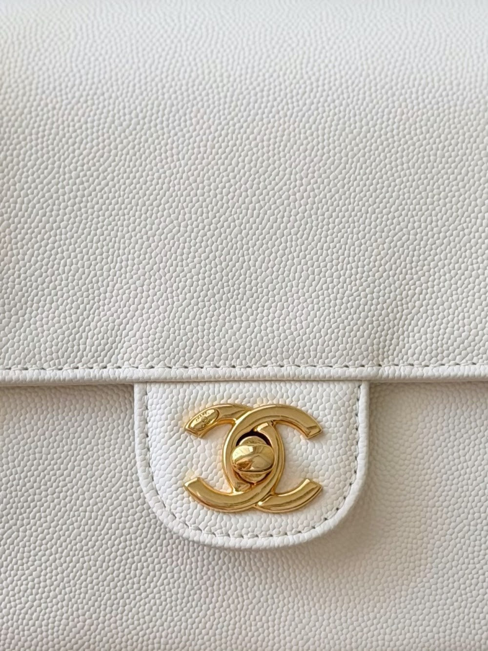 Dragons BagsCHn Luxury Bag --114044