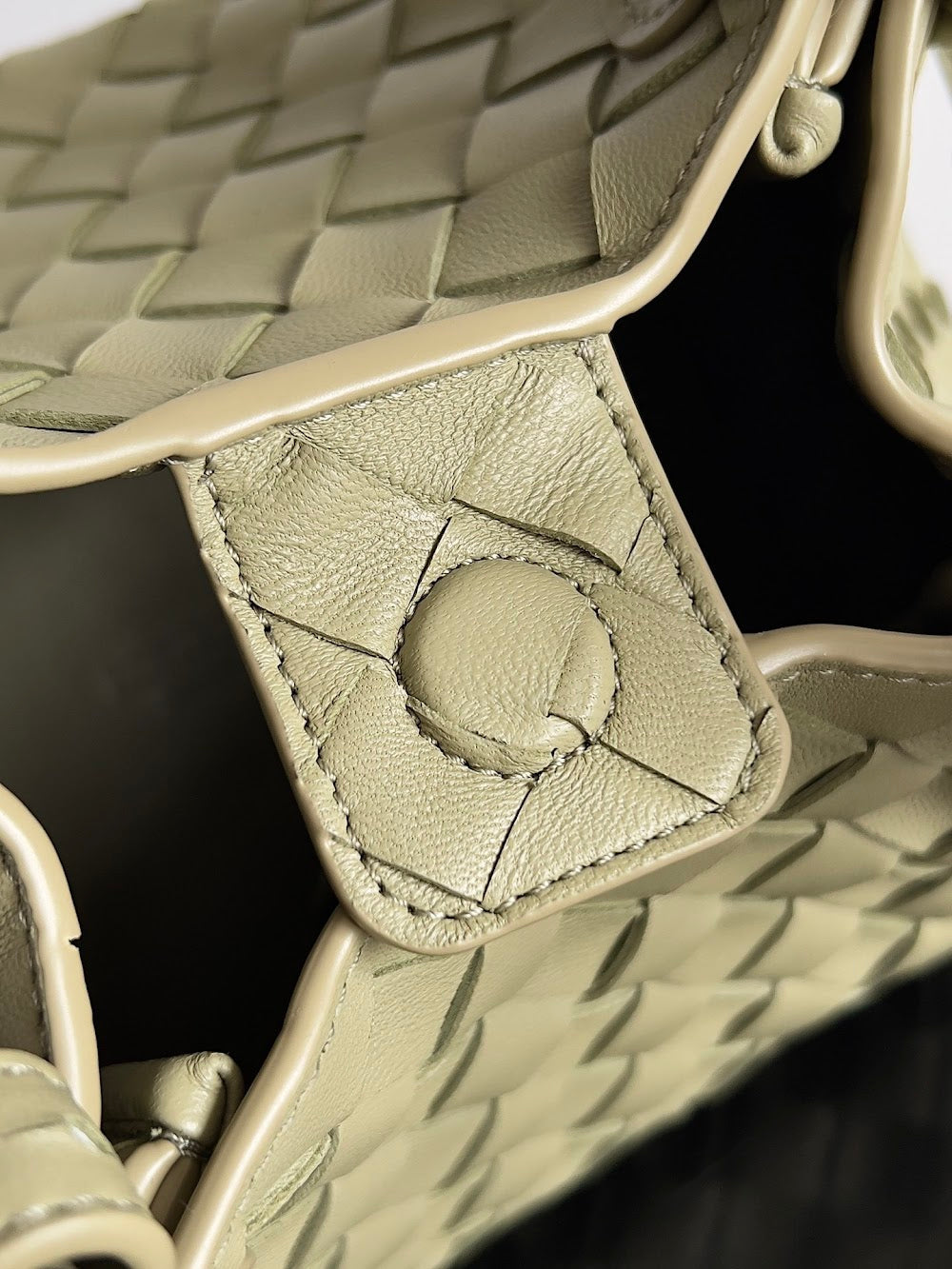 Dragons Bags Bottegan Luxury Bag --90952