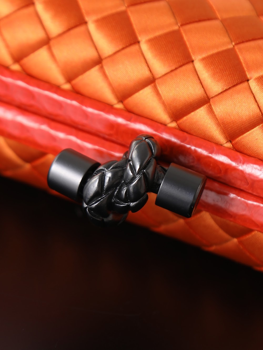 Dragons Bags Bottegan Luxury Bag --91256