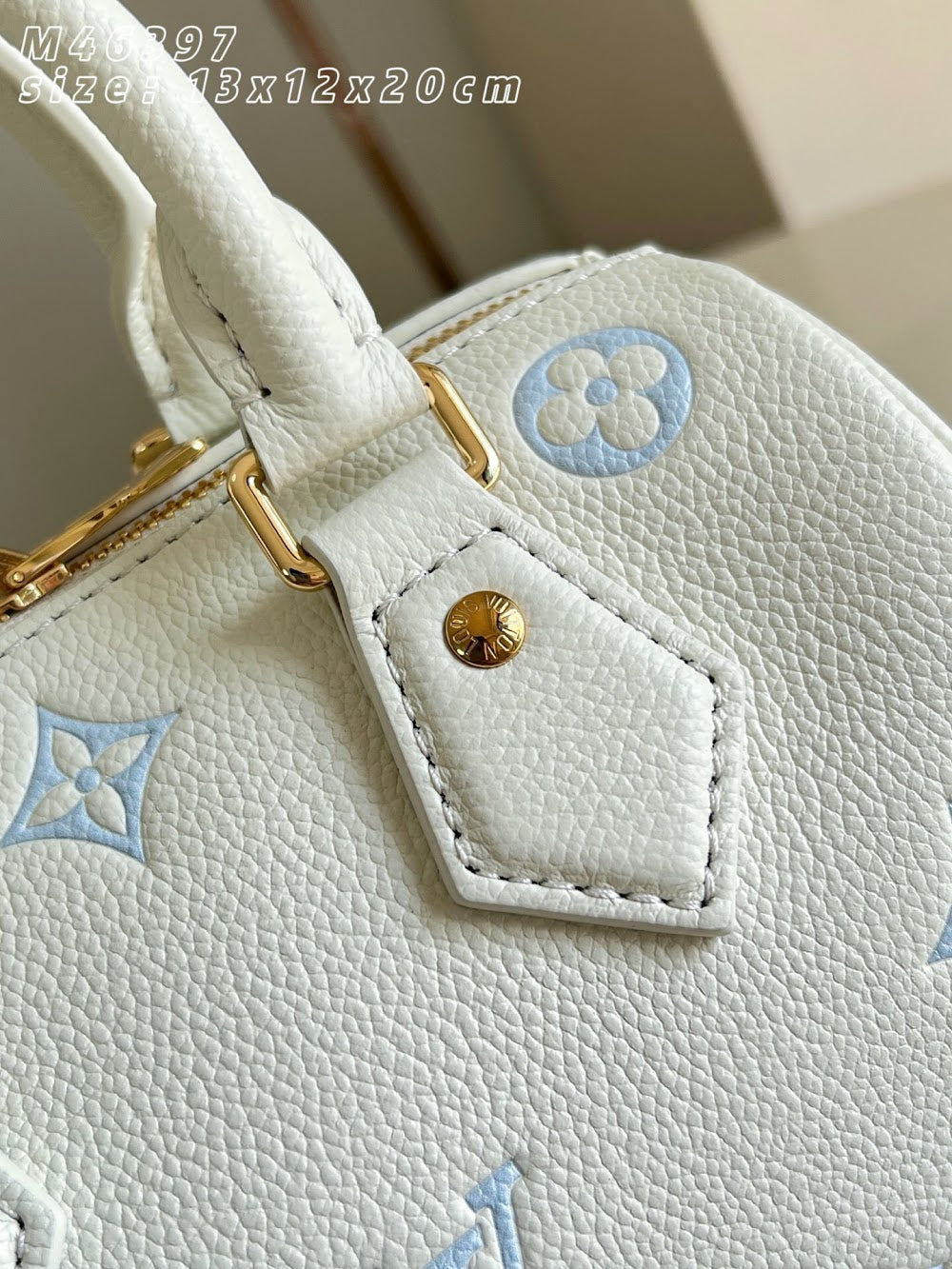 Dragons Bags ln Luxury Bag --95965