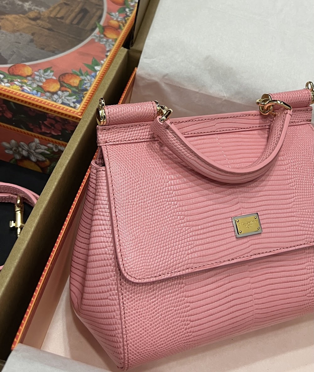 Dragons Bags DGn Luxury Bag --93398