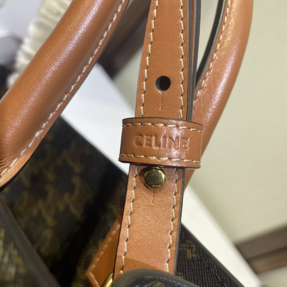 Dragons Bags Celine Luxury Bag --112400