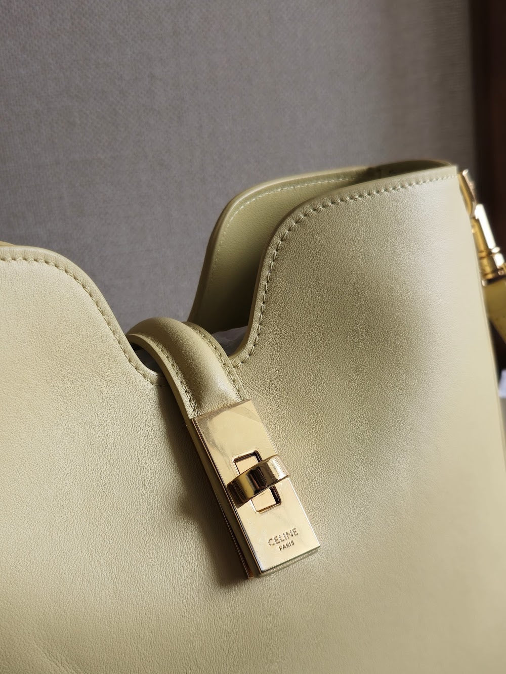 Dragons Bags Celine Luxury Bag --112207