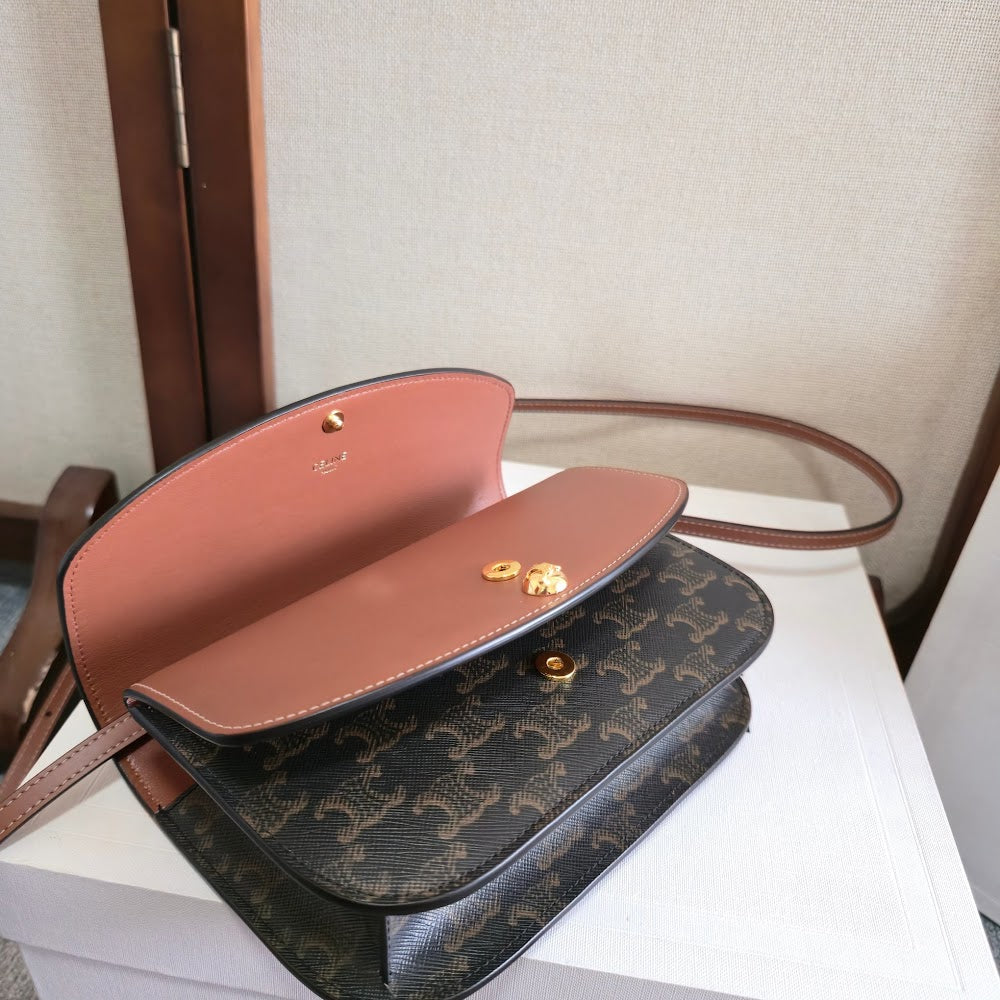 Dragons Bags Celine Luxury Bag --112540