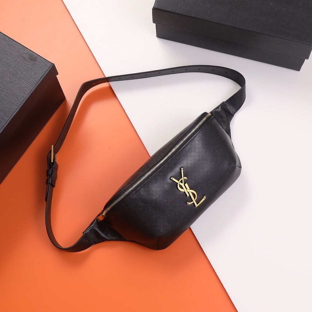 Dragons Bags YSLn Luxury Bag --119503