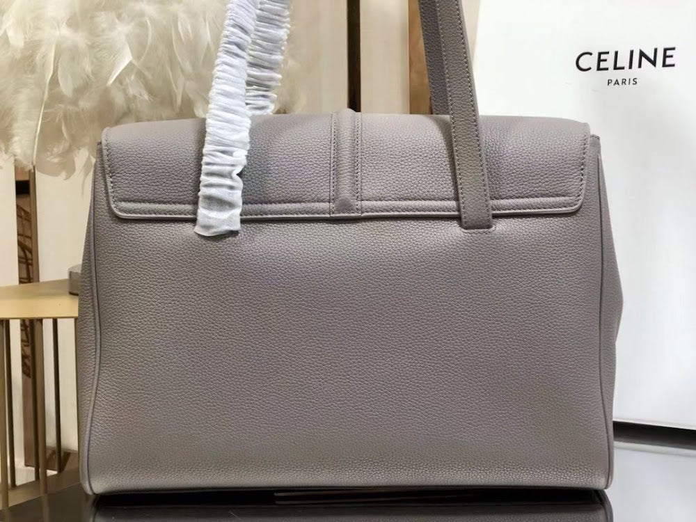 Dragons Bags Celine Luxury Bag --112415