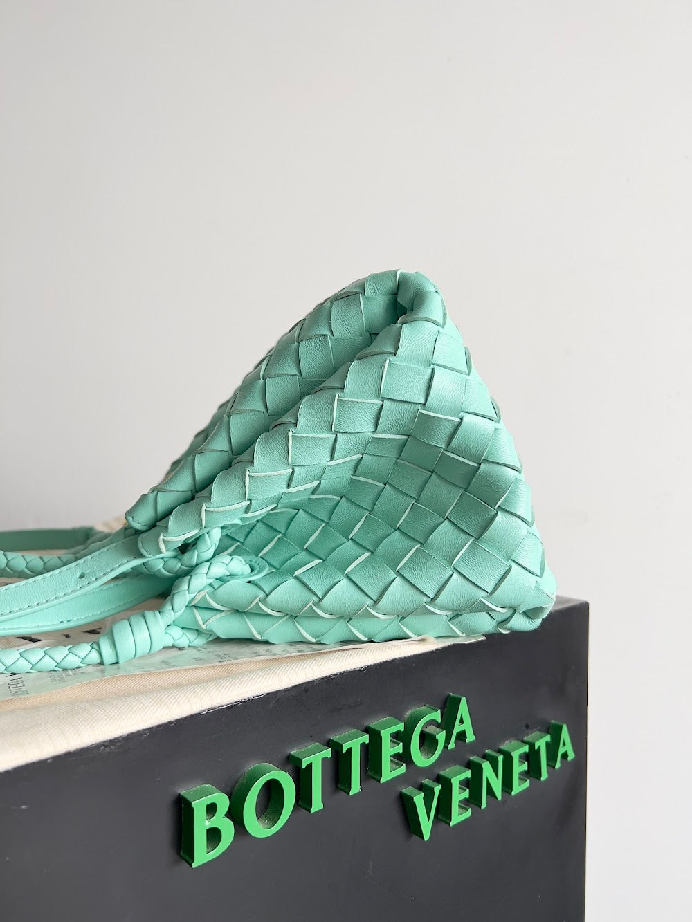 Dragons Bags Bottegan Luxury Bag --90954