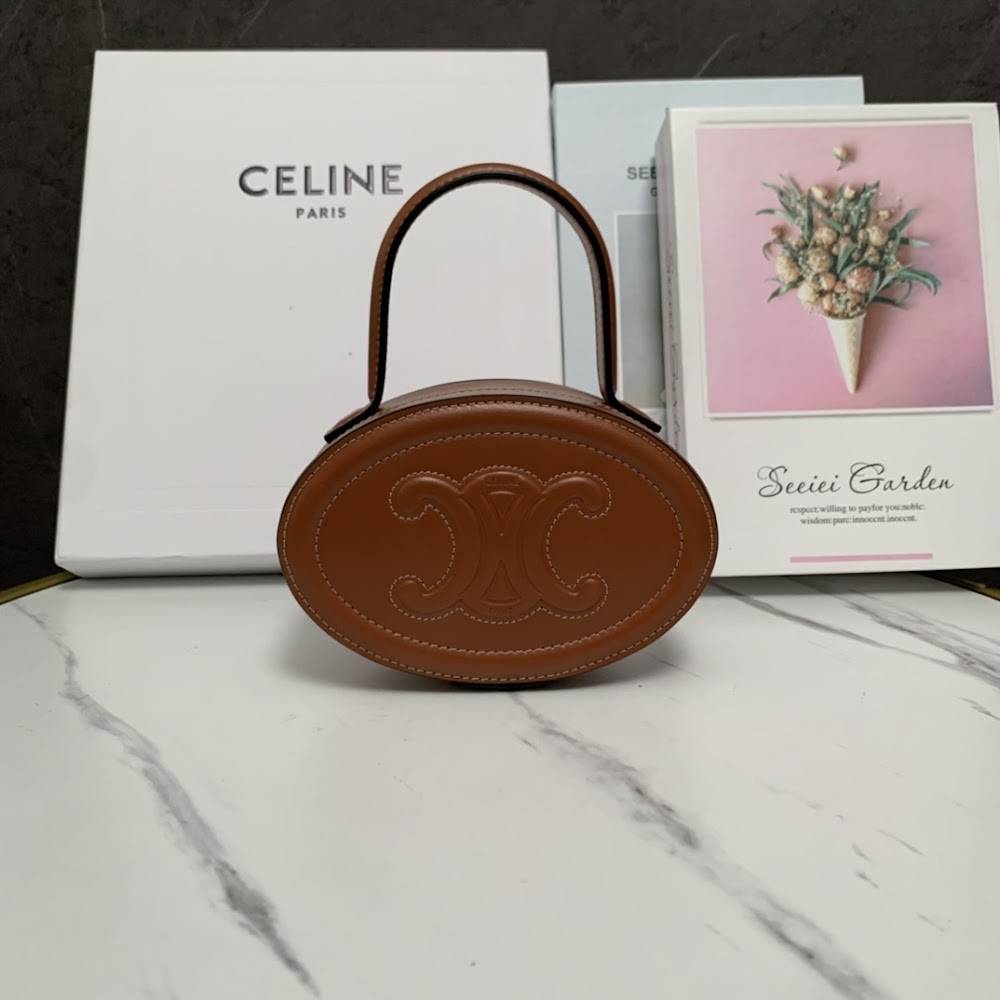 Dragons Bags Celine Luxury Bag --111964
