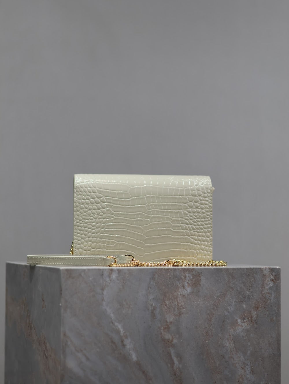 Dragons Bags YSLn Luxury Bag --120528