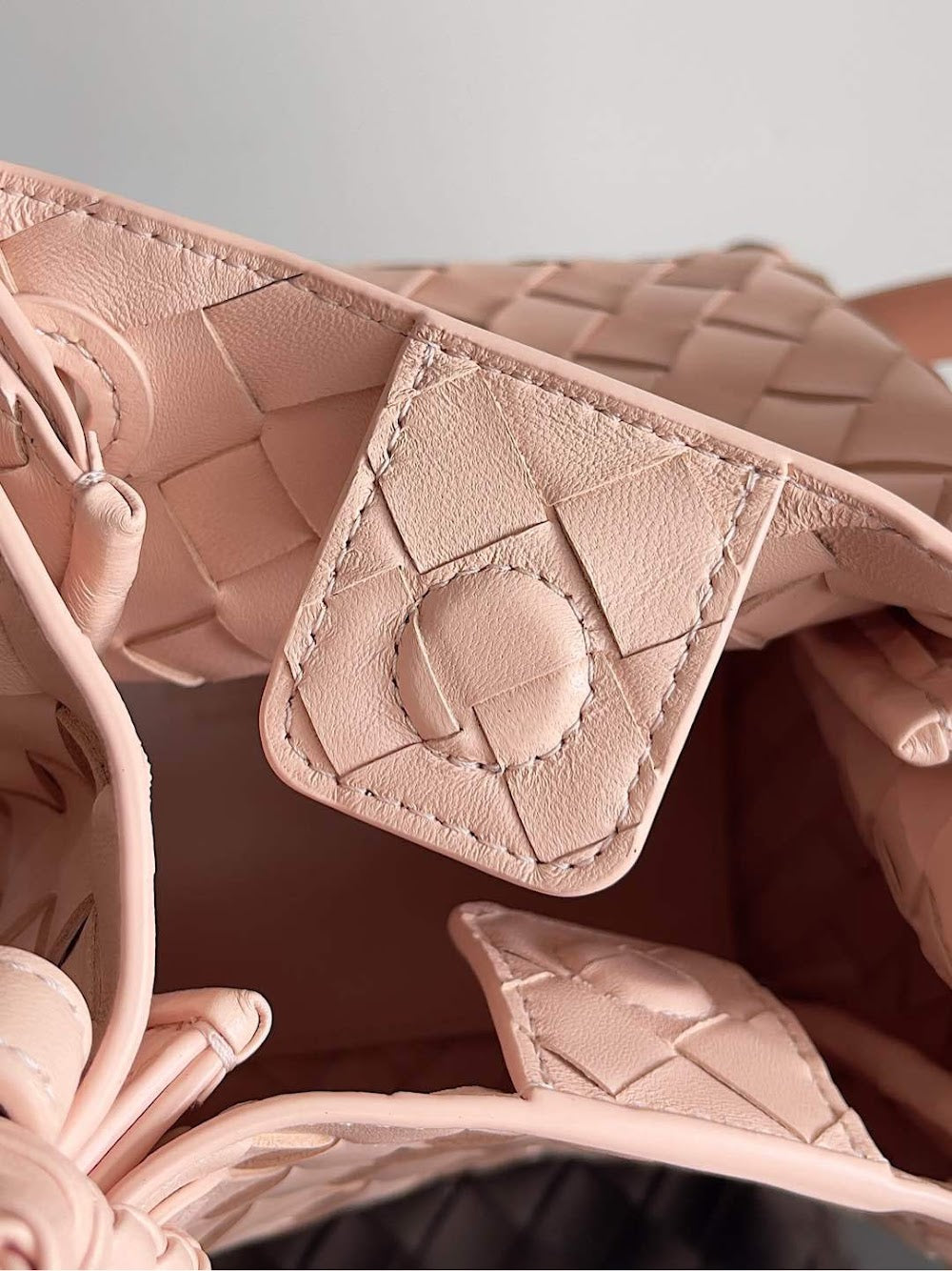 Dragons Bags Bottegan Luxury Bag --90964