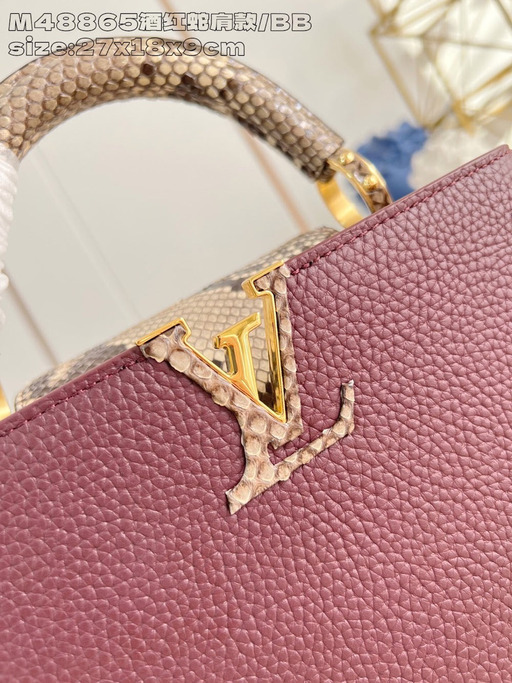 Dragons Bags ln Luxury Bag --95676