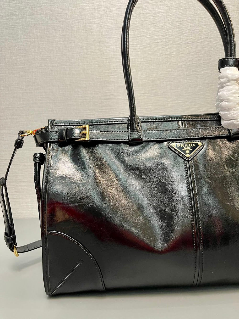Dragons Bags Pradn Luxury Bag --102604