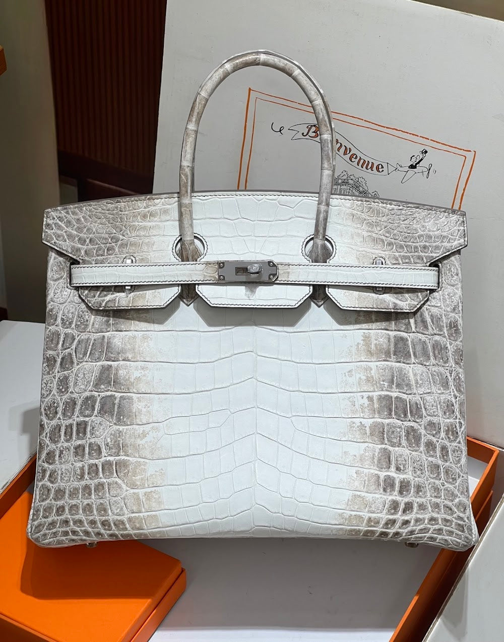 Dragons BagsHermesn Luxury Bag --116725
