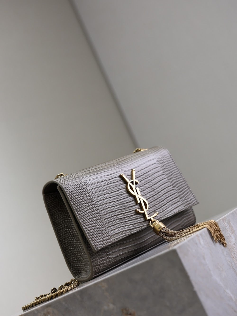 Dragons Bags YSLn Luxury Bag --119164