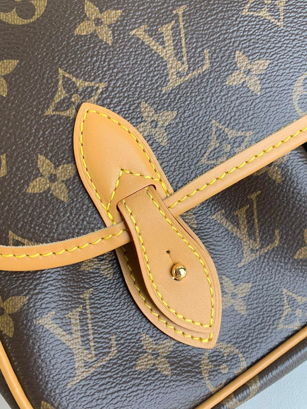 Dragons Bags LV Luxury Bag --55665