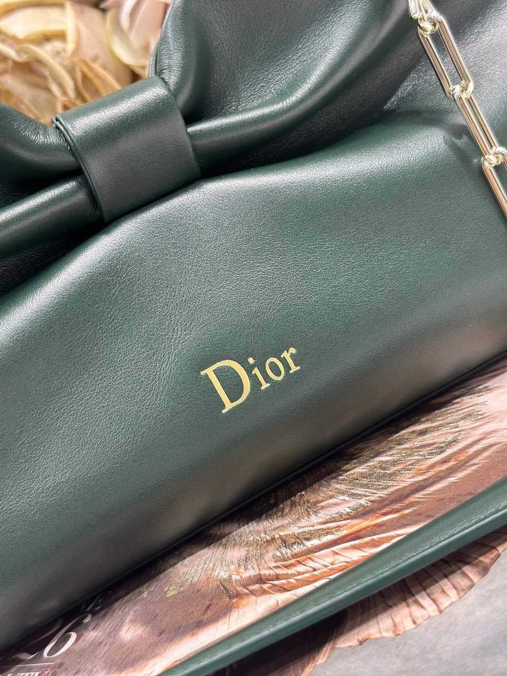 Dragons BagsDiorn Luxury Bag --115303
