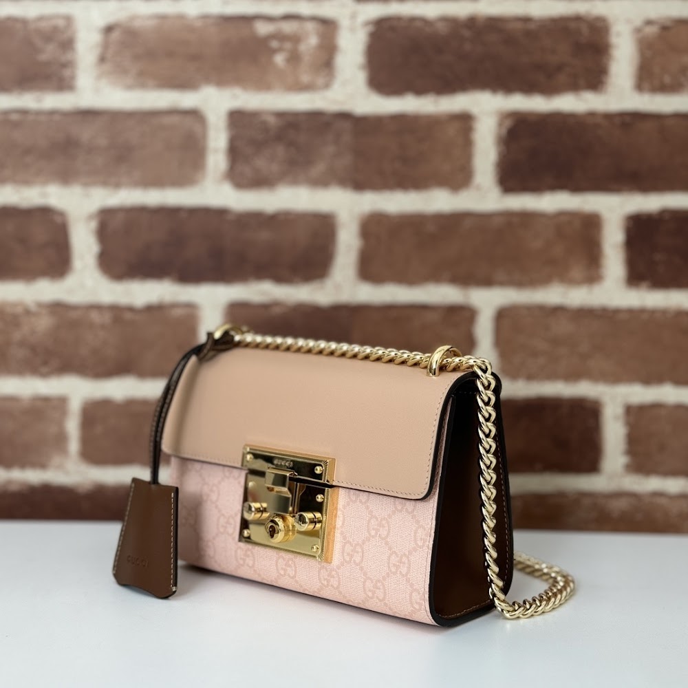 Dragons Bags Guccin Luxury Bag --95272