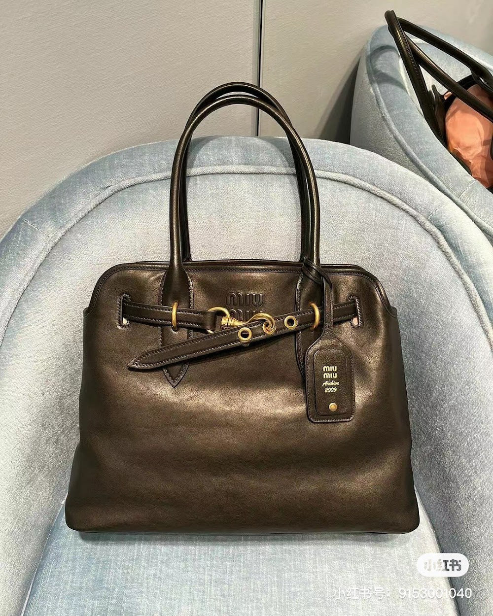Dragons Bags Miun Miun Luxury Bag --122450