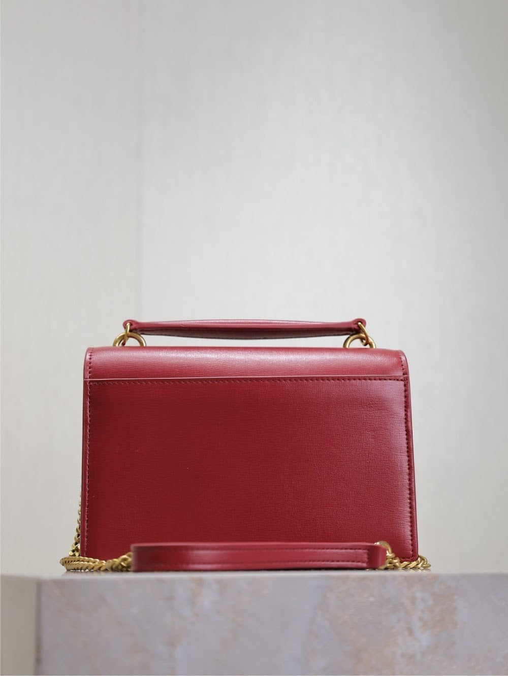 Dragons Bags YSLn Luxury Bag --119631