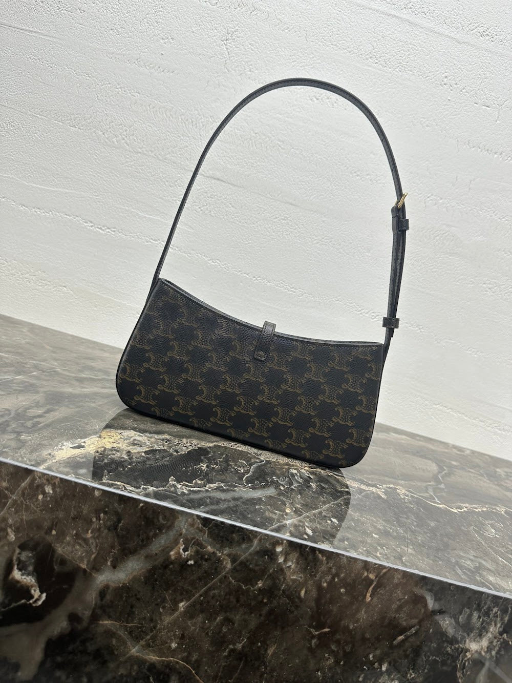 Dragons Bags Celine Luxury Bag --112545