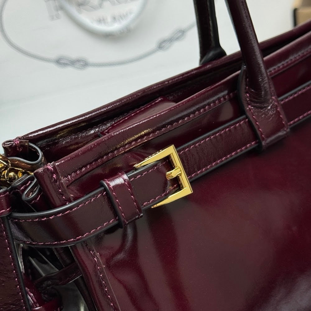 Dragons Bags Pradn Luxury Bag --101573