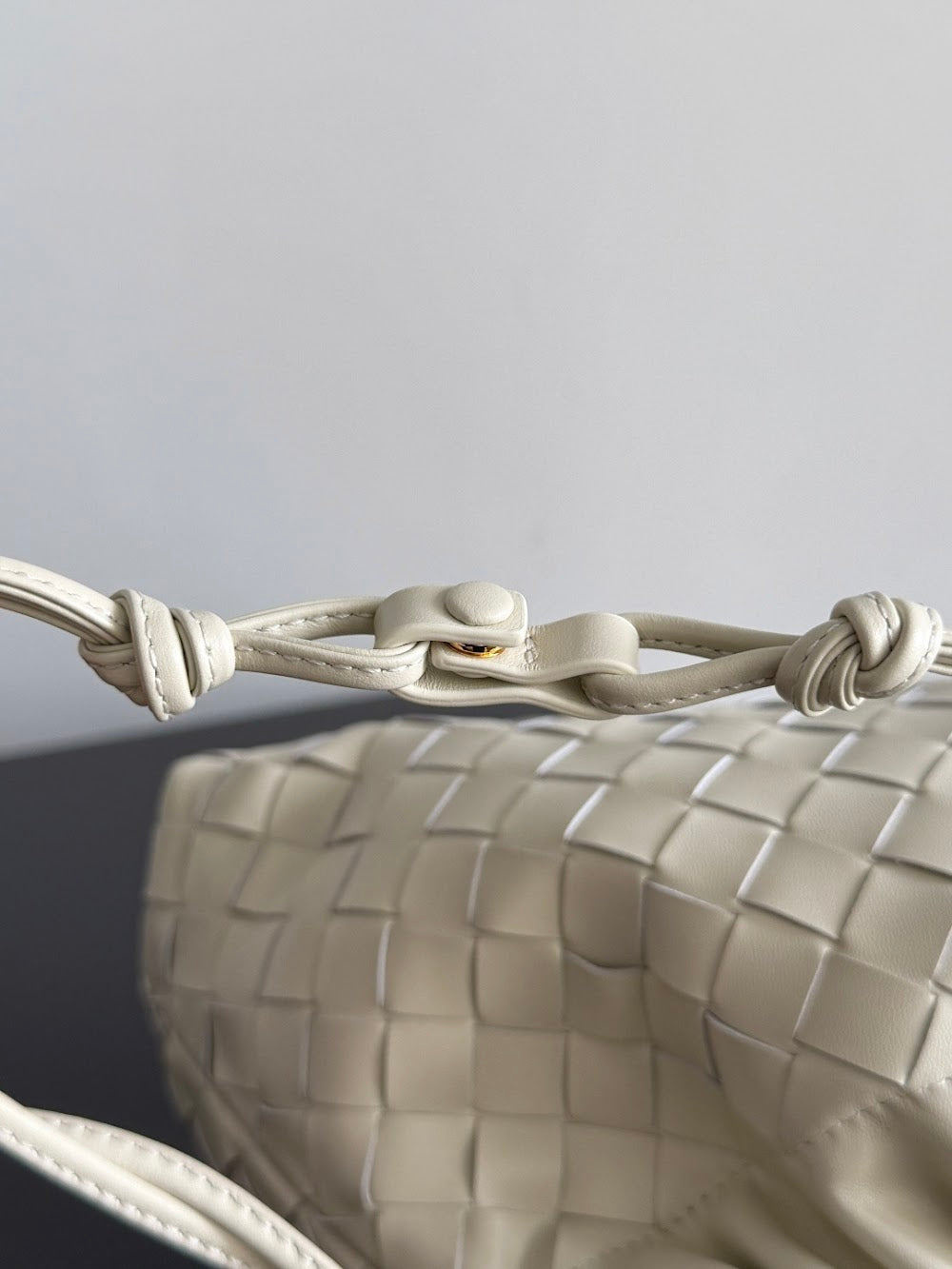 Dragons Bags Bottegan Luxury Bag --91557