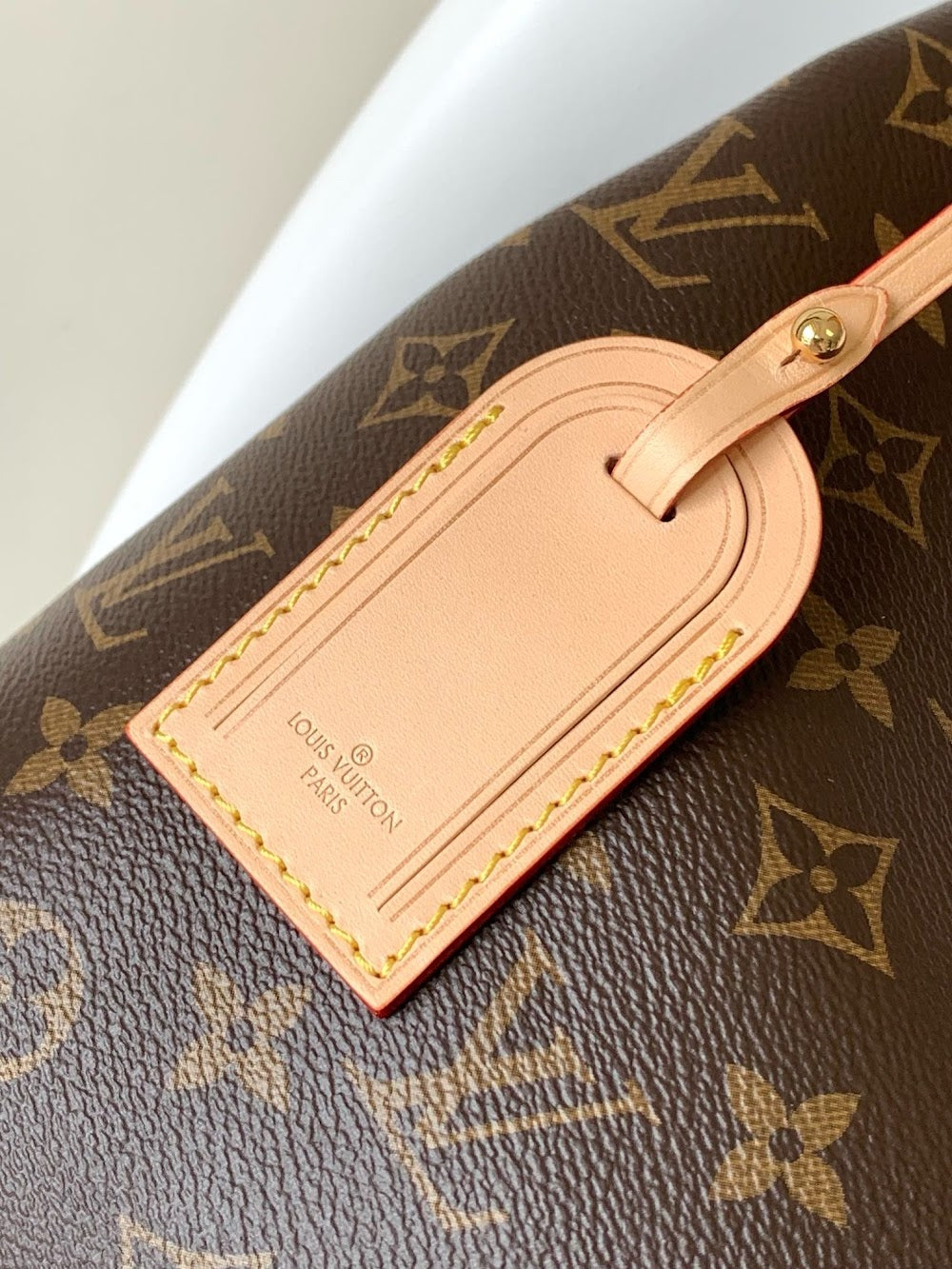 Dragons Bags LVn Luxury Bag --79537