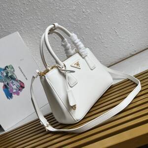 Dragons Bags Pradn Luxury Bag --101729