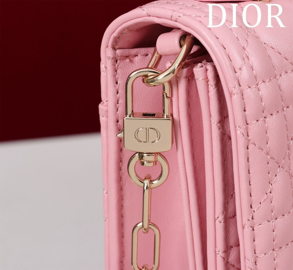 Dragons BagsDiorn Luxury Bag --116300