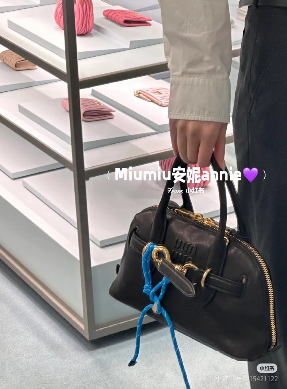 Dragons Bags Miun Miun Luxury Bag --123001