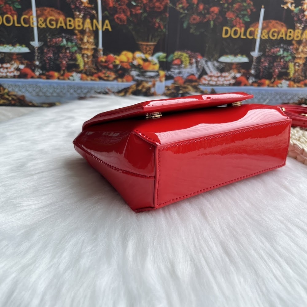 Dragons Bags DGn Luxury Bag --93723