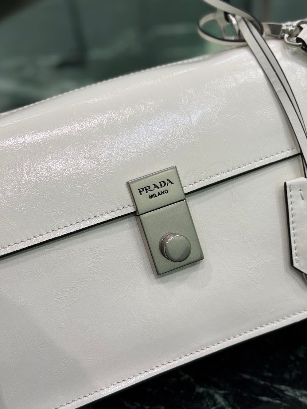 Dragons Bags Pradn Luxury Bag --102080