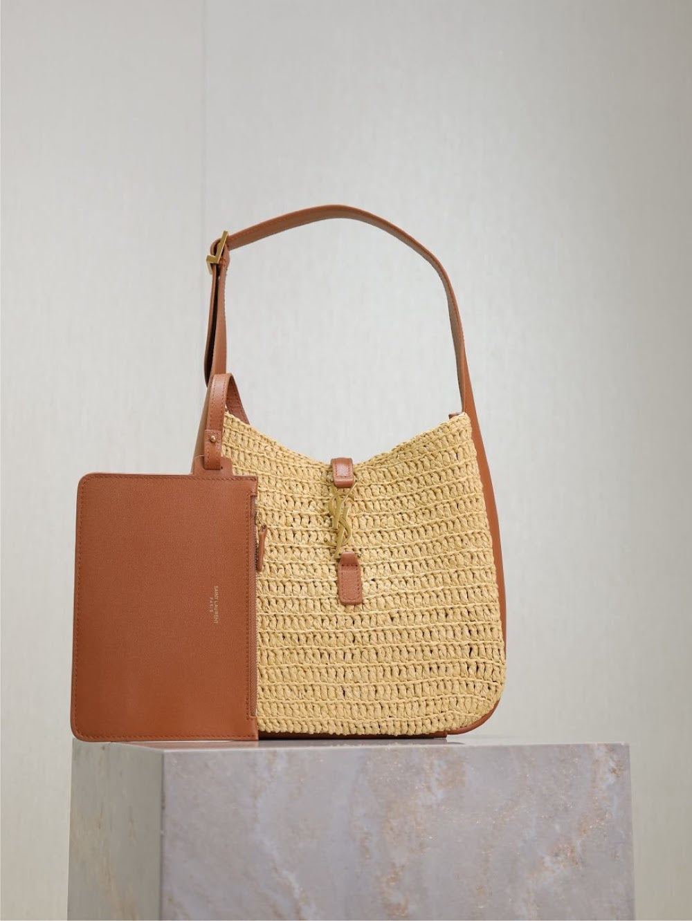 Dragons Bags YSLn Luxury Bag --119221