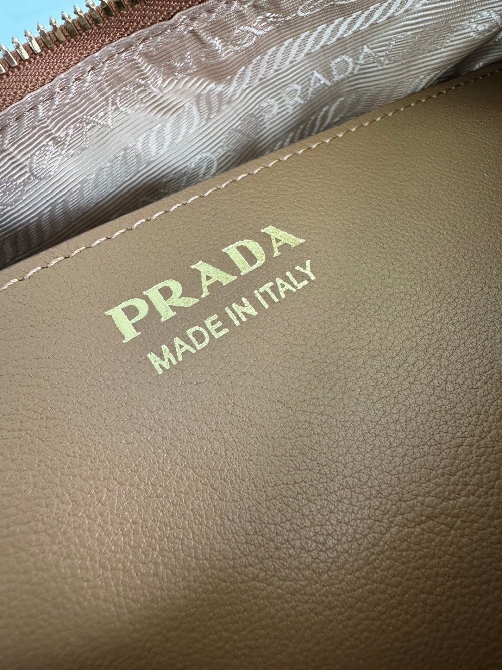 Dragons Bags Pradn Luxury Bag --102456