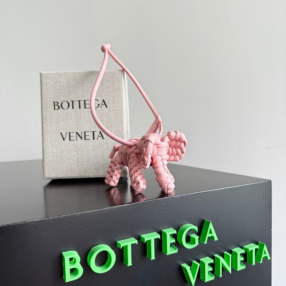 Dragons Bags Bottegan Luxury Bag --91432