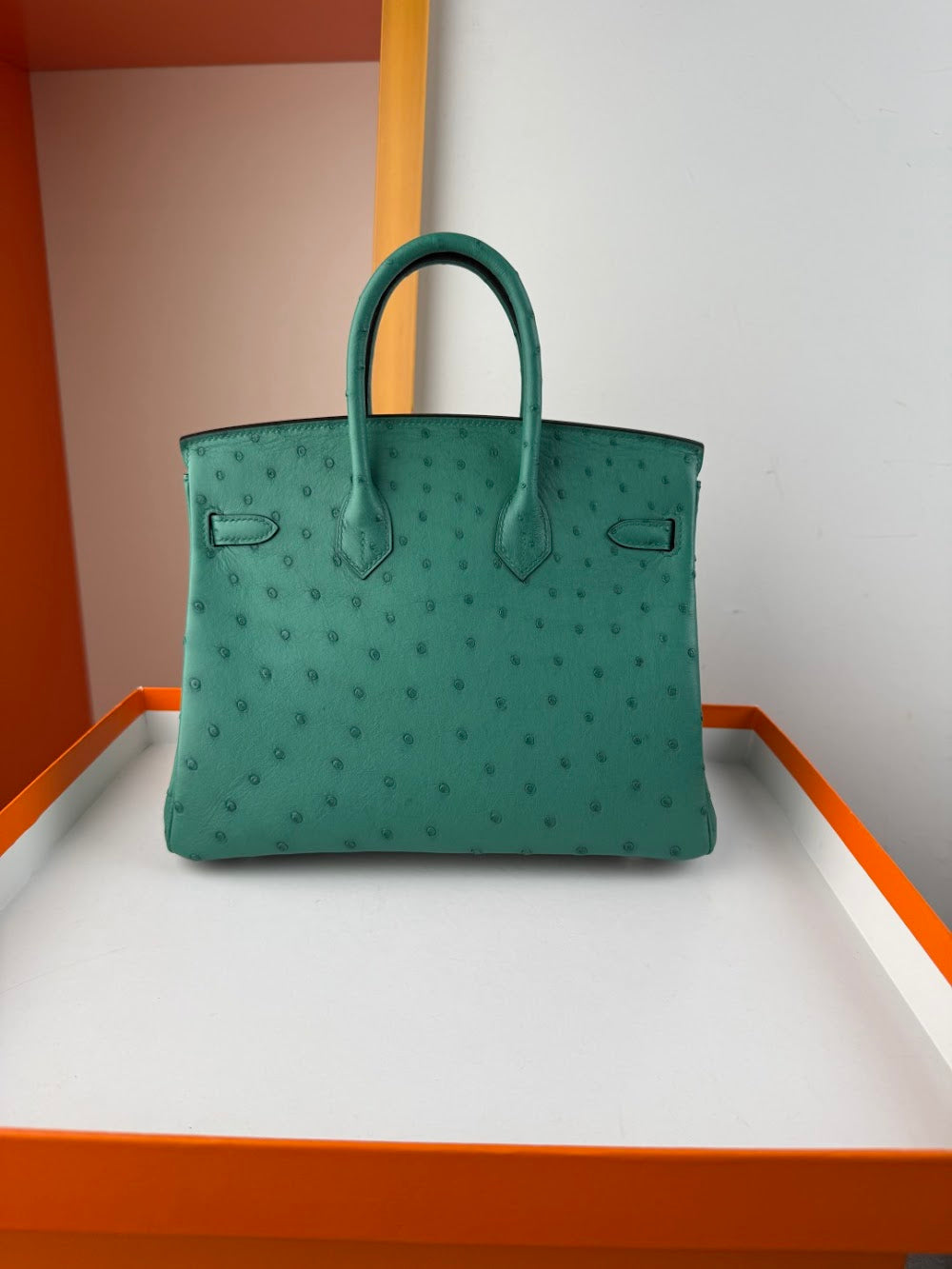 Dragons BagsHermesn Luxury Bag --116756