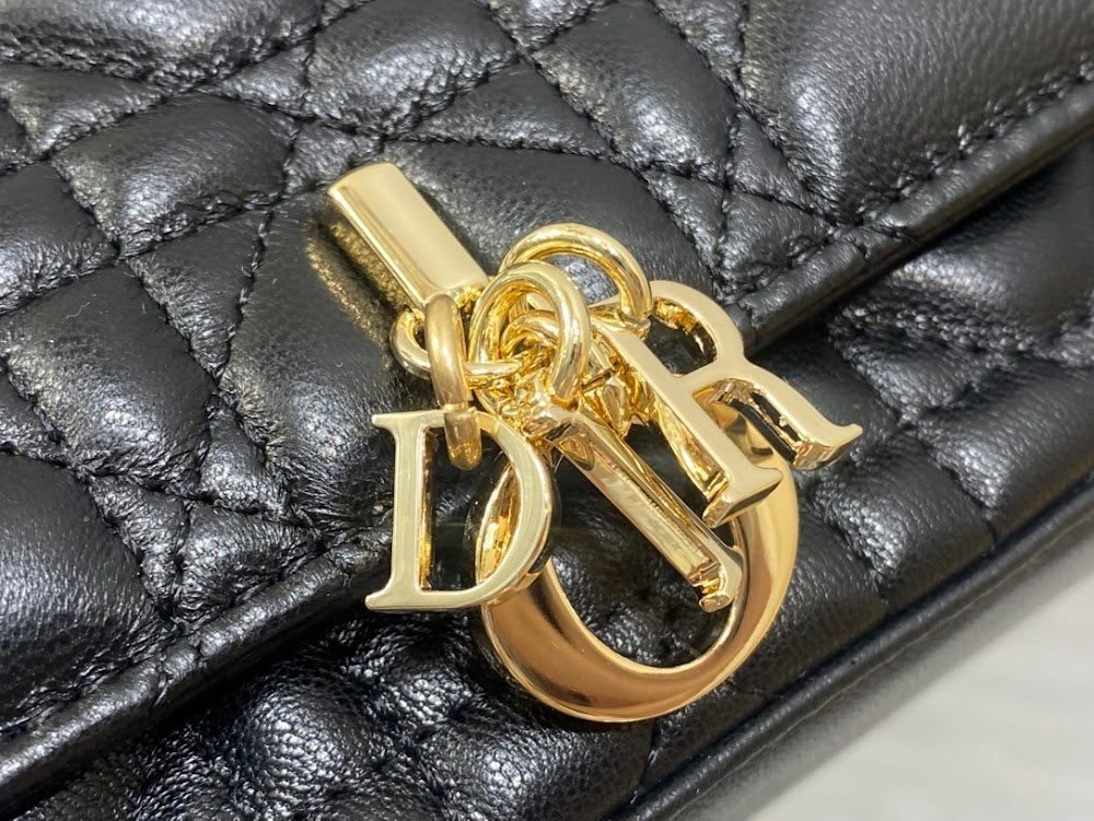 Dragons BagsDiorn Luxury Bag --115090