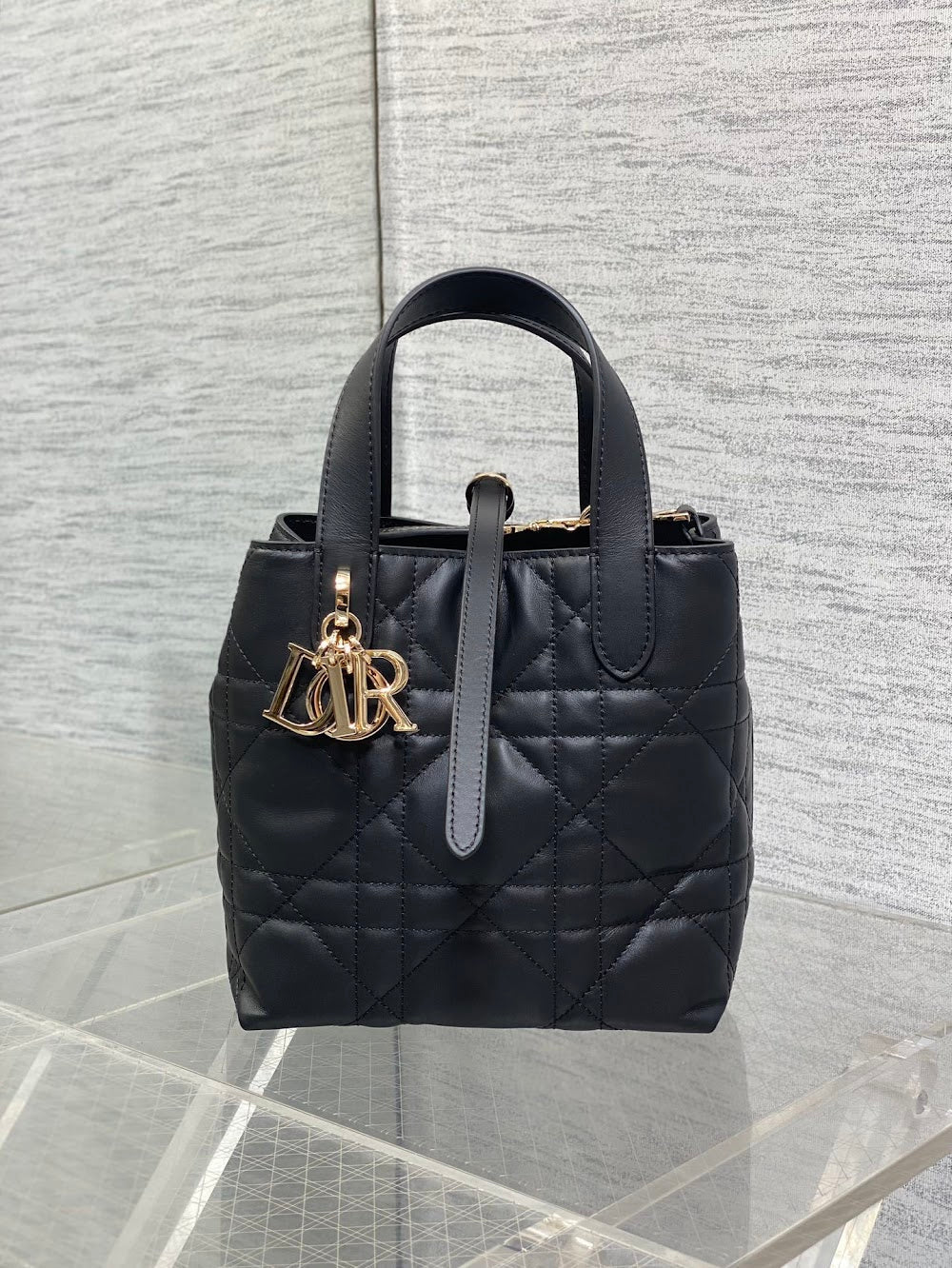 Dragons BagsDiorn Luxury Bag --115659
