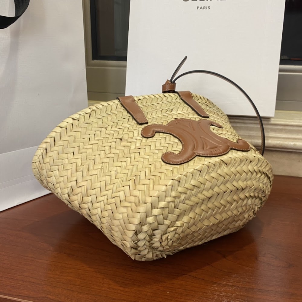 Dragons Bags Celine Luxury Bag --111980