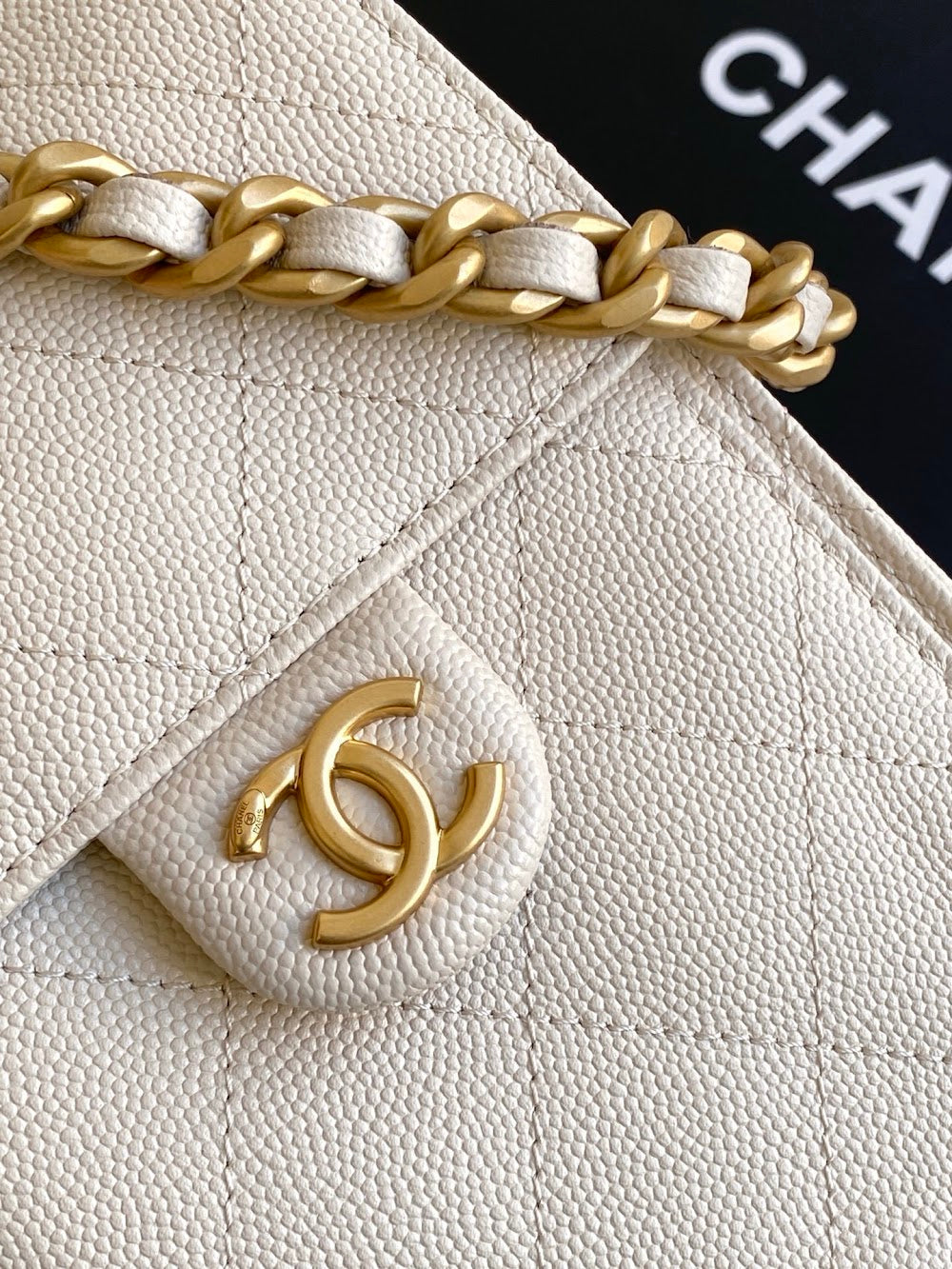 Dragons BagsCHn Luxury Bag --114110