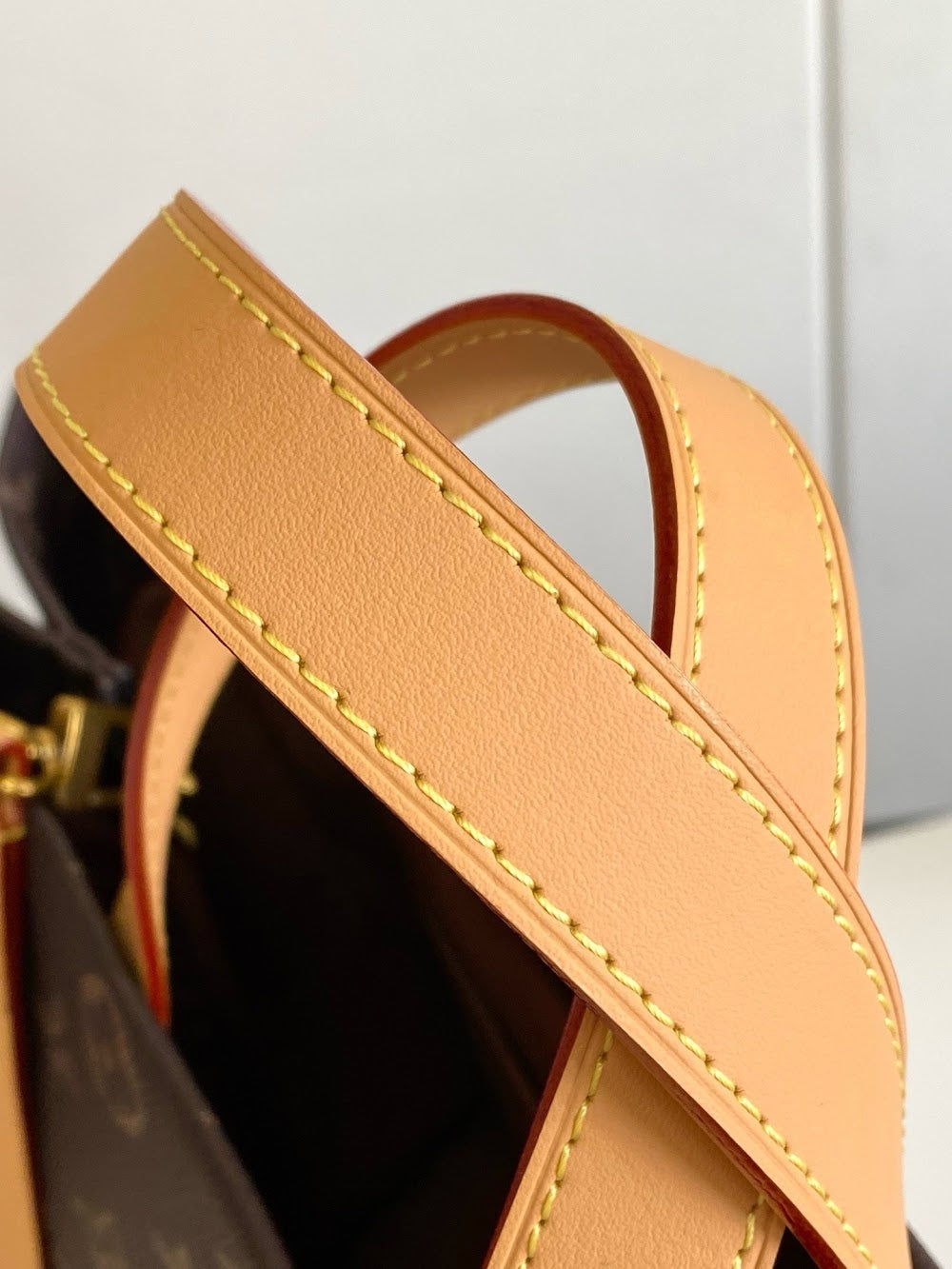Dragons Bags ln Luxury Bag --81816