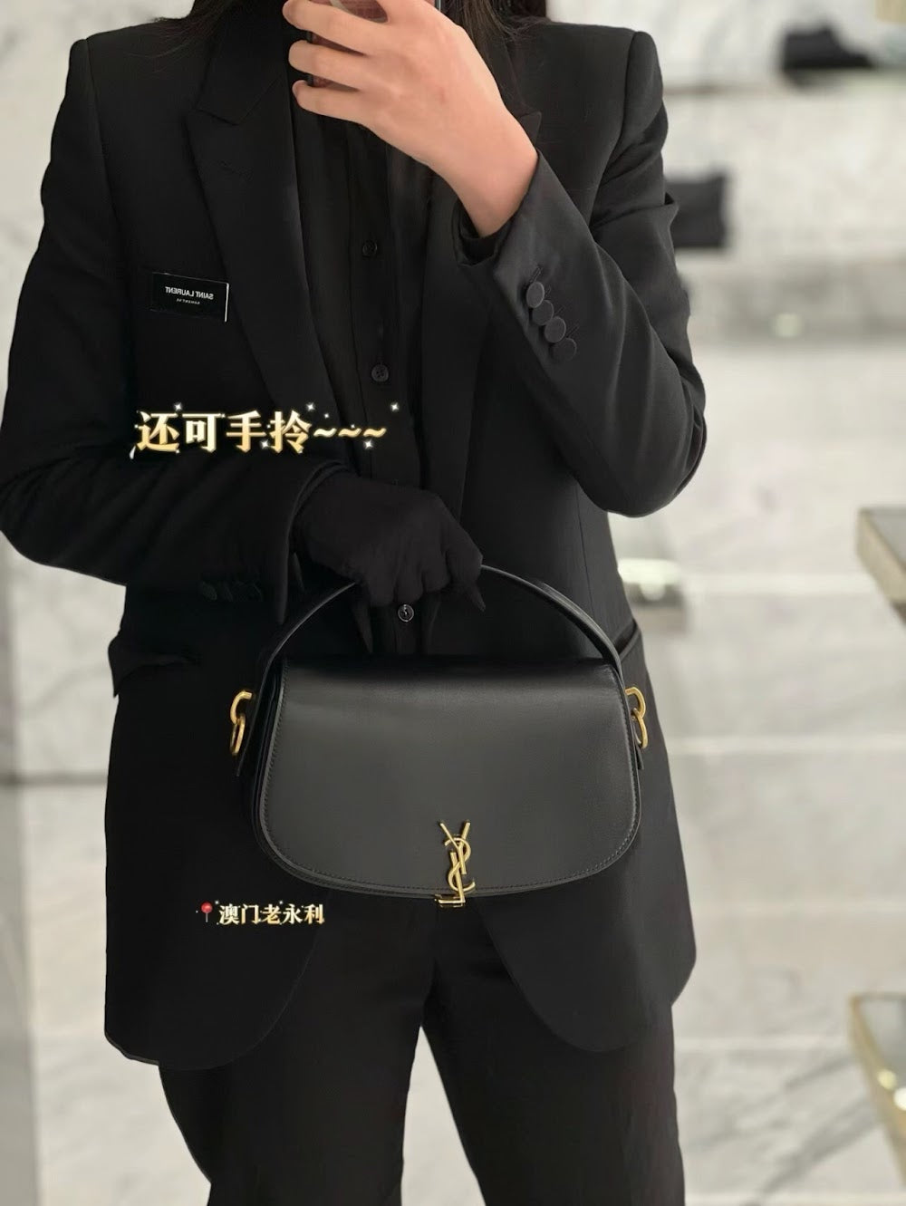 Dragons Bags YSLn Luxury Bag --119101