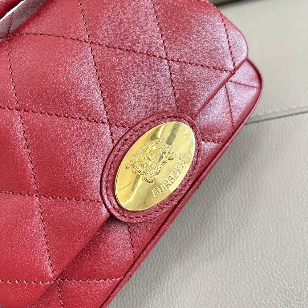 Dragons Bags Burberryn Luxury Bag --92316
