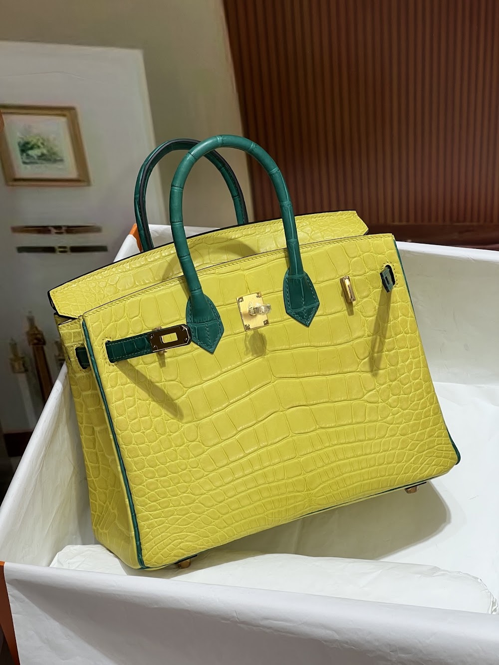 Dragons BagsHermesn Luxury Bag --116731