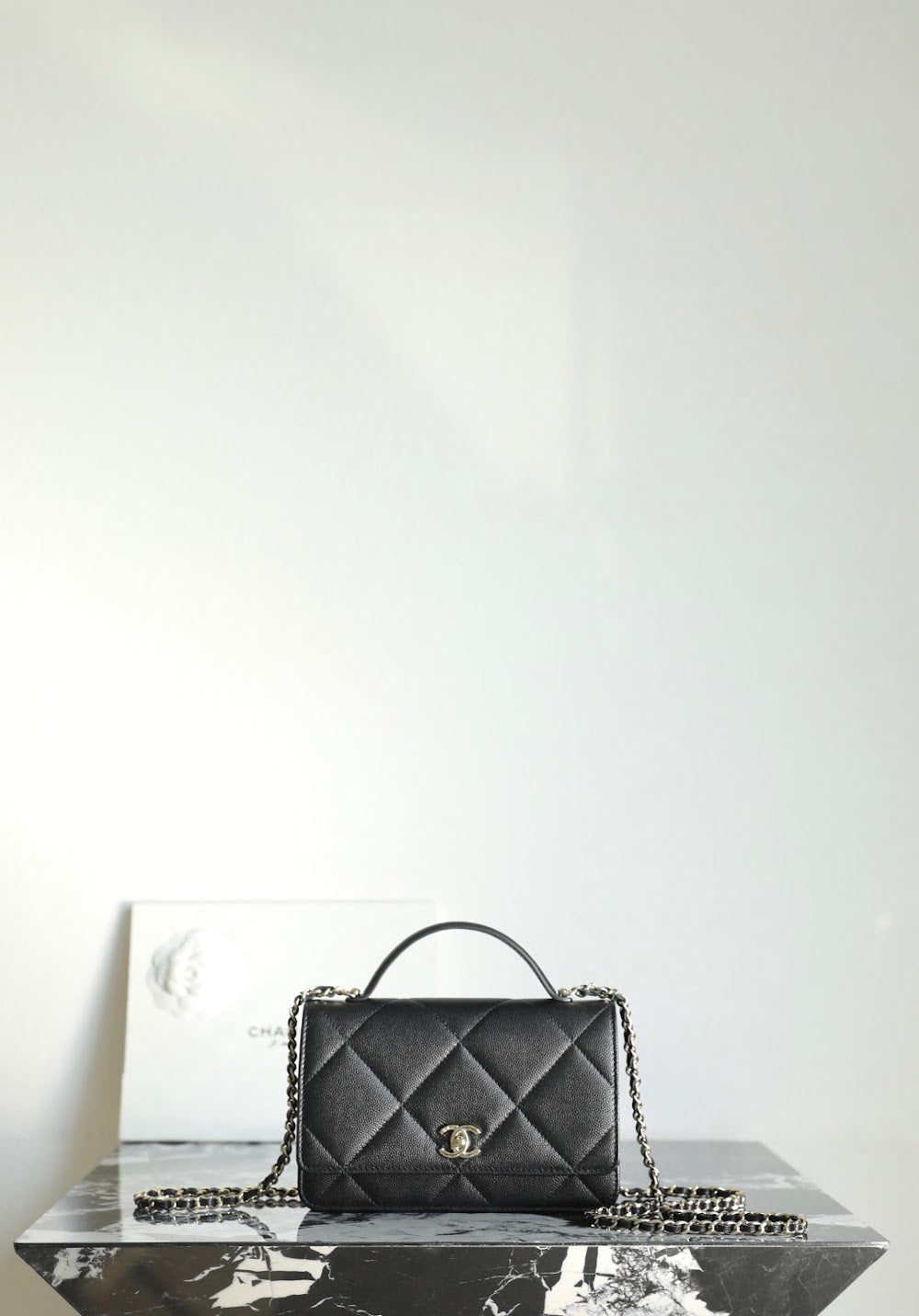 Dragons Bags CHn Luxury Bag --113599