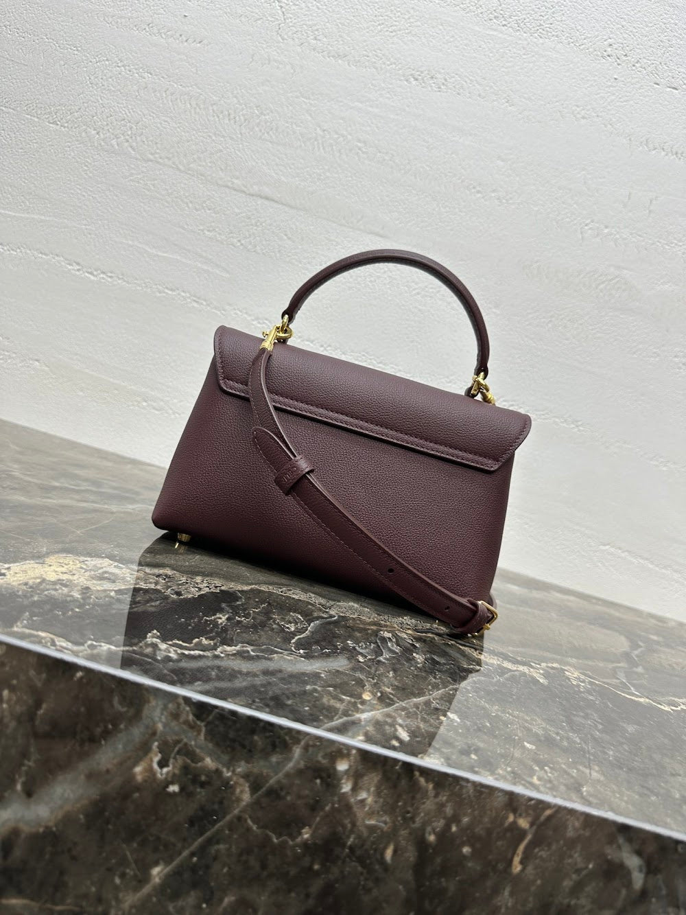 Dragons Bags Celine Luxury Bag --112430